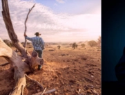 El campesino perdió parte de su sustento.