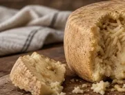 Casu marzu