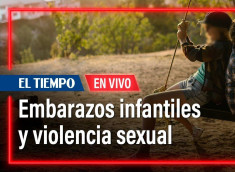 Embarazos infantiles y violencia sexual: datos para reflexionar en el Día Internacional de la Niña.
