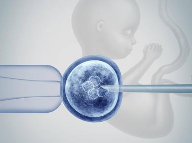 Fertilización in vitro