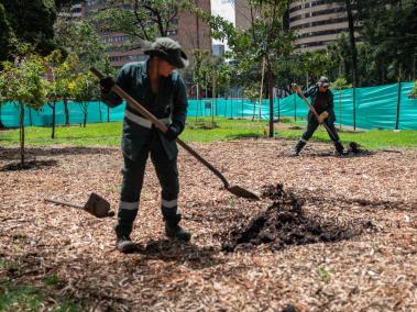 El proceso de chipiado es parte clave de la recuperación ambiental en el Parque Nacional