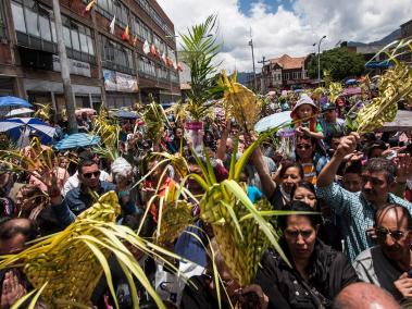 El uso de la palma de cera será multado.