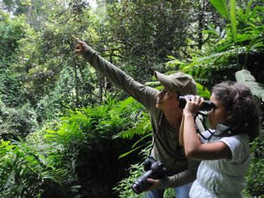762 especies de aves pueden ser encontrada en el  departamento del Tolima.