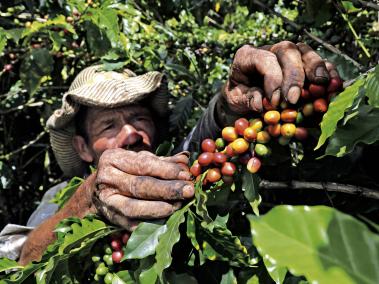 El gremio del sector plantea que se ahorre para épocas de vacas flacas.