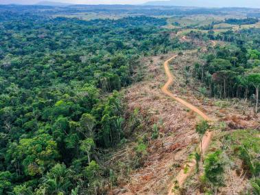 La deforestación, los cultivos ilícitos y las quemas amenazan a este inmenso pulmón ecológico, del que dependen más de 40 mil especies de plantas y cerca de 390 mil millones de árboles y que impacta a ciudades a cientos de kilómetros. Y tenemos poco tiempo para salvarlo.