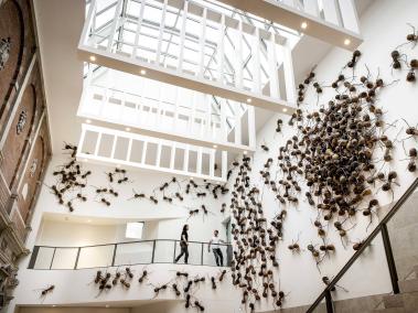 Rafael Gómez se toma con sus hormigas el museo más importante de Ámsterdam.