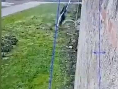 Momento de la fuga del capo.