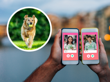 ¿Qué debe tener en cuenta?