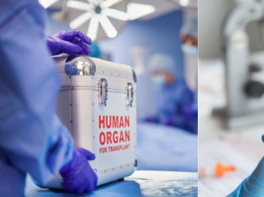 El incidente se descubrió cuando un paciente trasplantado en enero dio positivo para VIH tras mostrar síntomas neurológicos, sin haber tenido el virus antes.