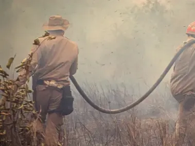 Incendios forestales en Colombia: Noticias, Fotos y Videos de Incendios ...
