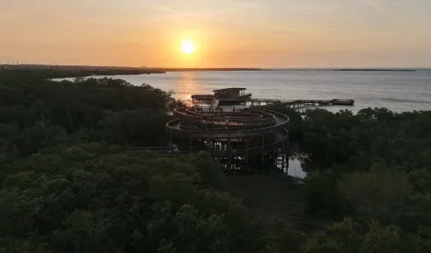 Alcaldía