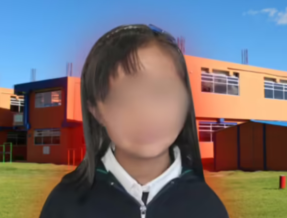 Abogado representante del colegio donde estudiaba Valeria Afanador reconoci?? fallas en los profesores que estaban a cargo de la menor
