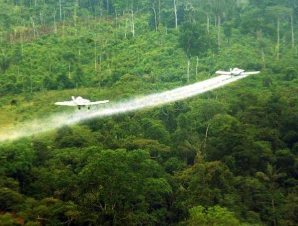 ¿Qué diferencia al glufosinato de amonio del glifosato para combatir cultivos ilícitos en Colombia tras su autorización como plan piloto del Gobierno?