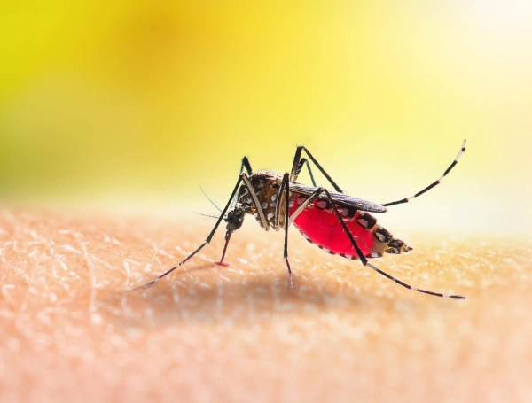 Las personas de sangre tipo O suelen ser más 'dulces' para estos insectos.