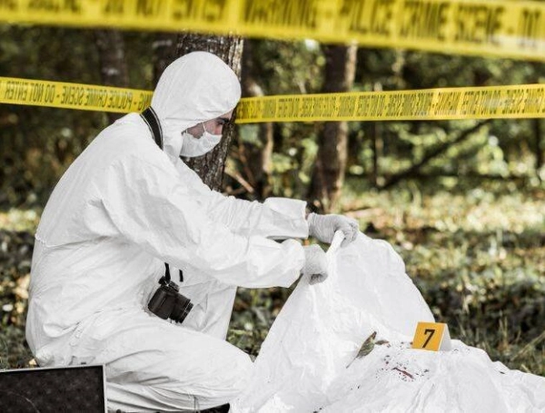 Perro callejero que cargaba pierna humana ayudó a encontrar bolsas con cadáveres en México.