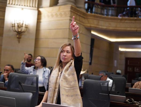 Katherine Miranda, representante a la C??mara durante un debate en el Congreso.