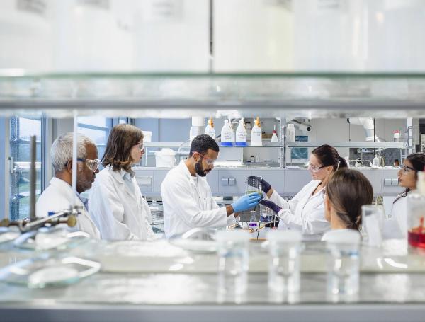 Los expertos investigaron las reacciones químicas que podrían haber tenido lugar en los hielos interestelares.