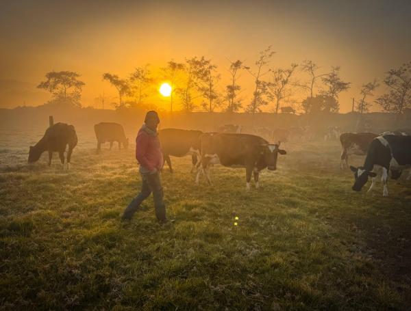 ‘Estamos pasando por una transición de extremos climáticos’: Ideam explica por qué hace tanto frío en unas zonas de Colombia y tanto calor en otras