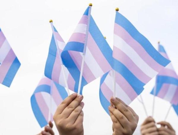 Bandera trans.