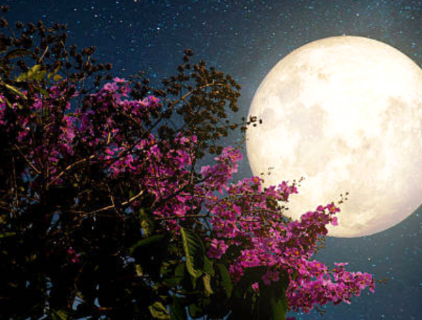 Mayo de 2026 traerá dos lunas llenas y dos lluvias de meteoros — image 5