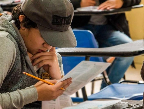 Colombia, el país de la Ocde donde los estudiantes más usan IA para hacer tareas escolares: ¿Cómo impacta esto en los aprendizajes?