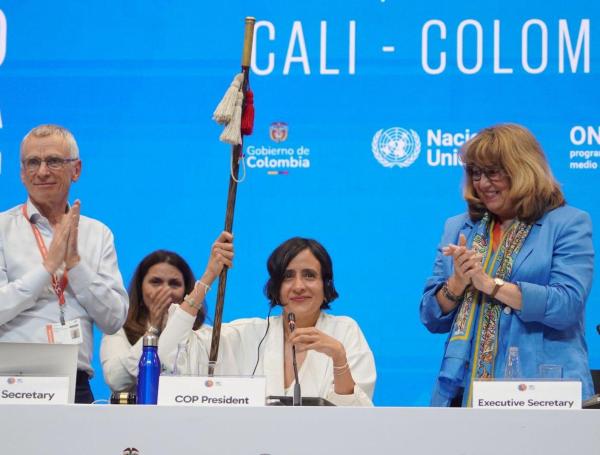 Los 11 logros del gobierno Petro en el 2024 que el mandatario destacó ...