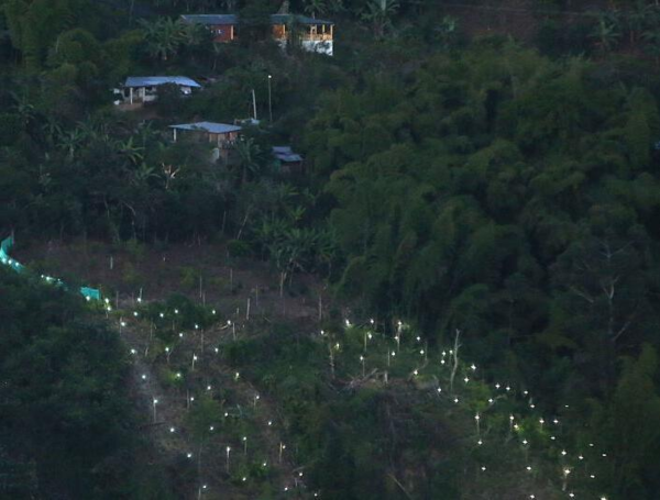 Los 'pesebres' del norte del Cauca. Invernaderos en Toribío.