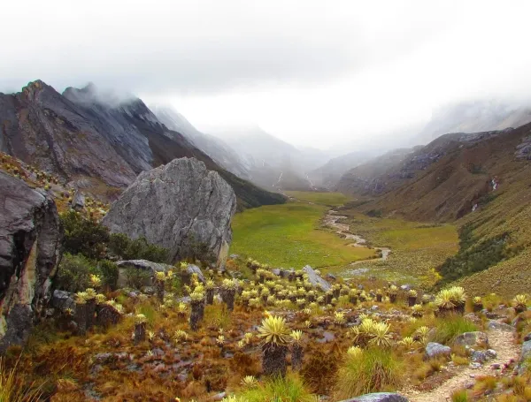 ‘Están entregando el páramo de Santurbán a los criminales’: Organizaciones de Soto Norte anuncian acciones legales contra resoluciones del MinAmbiente