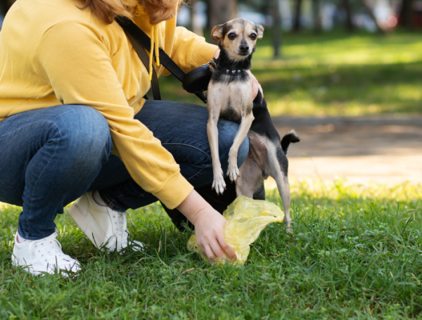 qué enfermedades pueden contraer los perros de los humanos