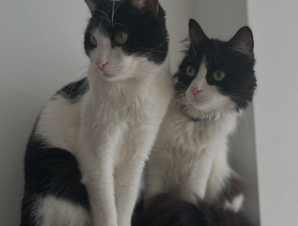 El emotivo mensaje de Jordan Retro a Linda Palta, su pareja y quien murió en junio tras accidente en Popayán.