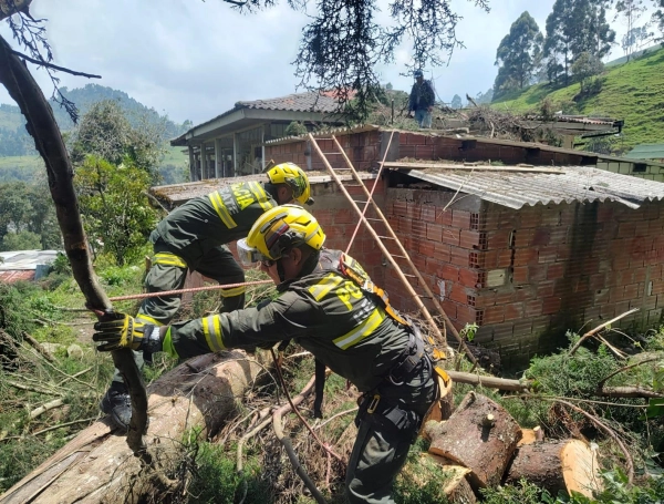 Policía nacional