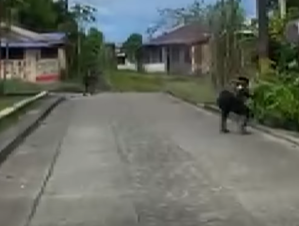 Disidentes y el Eln, enfrentados en plena calle de Bajo Calima.