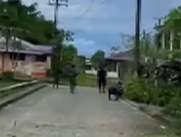 Disidentes y el Eln, enfrentados en plena calle de Bajo Calima.