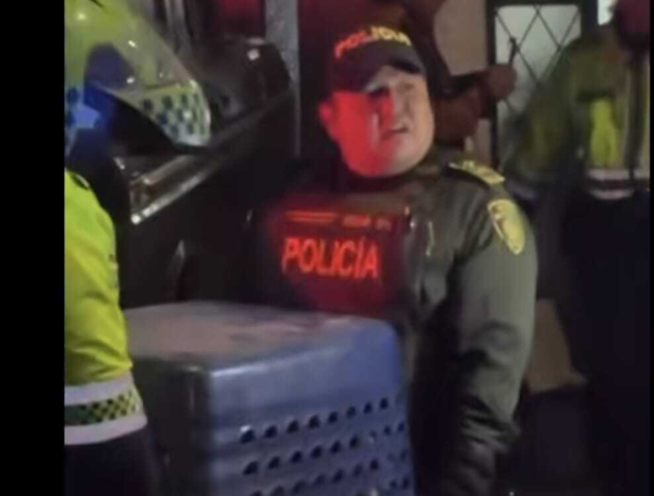 Recuperación de animales que habría estado bajo maltrato.