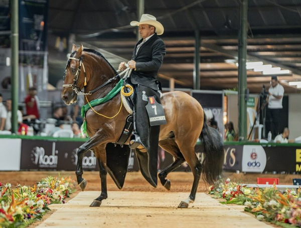 XVII Mundial de Caballos de Paso.