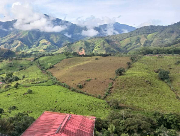 Plateado, Cauca. Al fondo, el cañón del Micay, tapizado por coca.