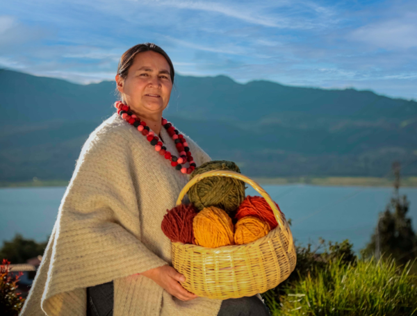 Instituto Departamental de Cultura y Turismo de Cundinamarca (IDECUT)