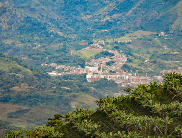 Andes, Antioquia.