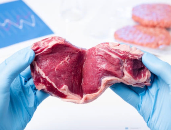 sugieren moderar el consumo de carne roja y procesada, priorizar fuentes de proteína alternativas