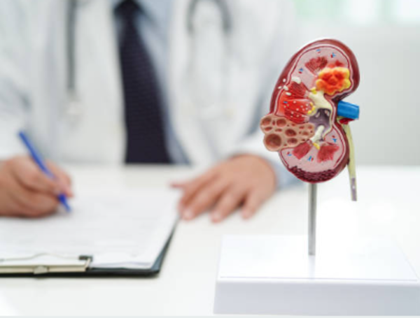 enfermedad ri&ntilde;onesenfermedad ri&ntilde;onesenfermedad ri&ntilde;ones