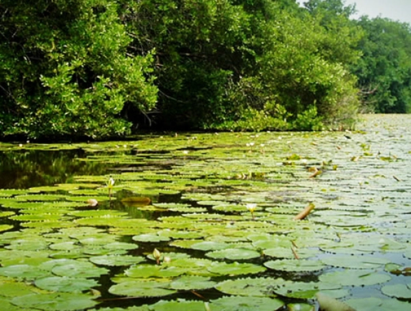 Vía Parque Isla de Salamanca