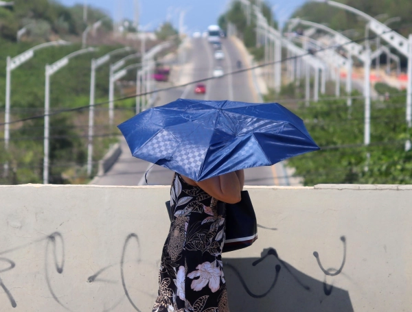 Exclusivo: la iniciativa de construcción sostenible que busca crear barrios capaces de enfrentar altas temperaturas; en Colombia hicieron proyecto VIS
