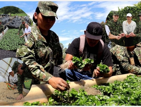 Iniciativa del Ejército con cafeteros del Cauca.
