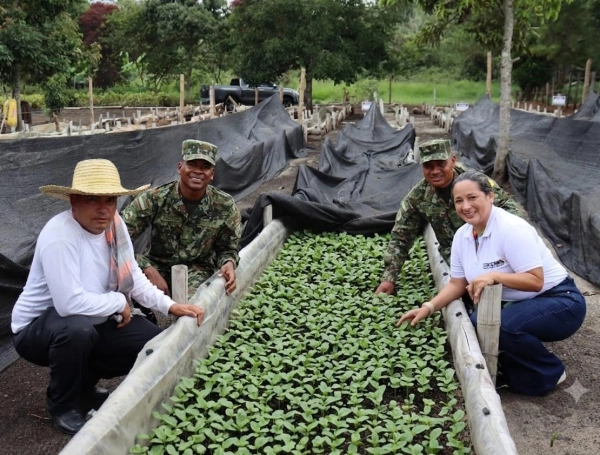 Iniciativa del Ejército con cafeteros del Cauca.
