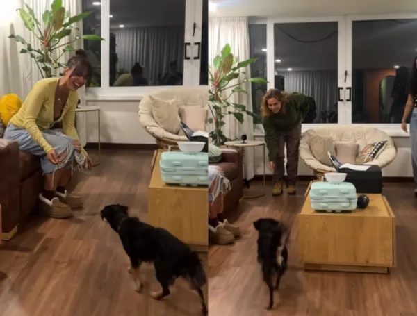Video de perrita que 'solo responde cuando la llaman en costeño' se hace viral en redes sociales