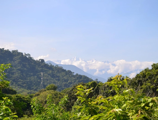 Como hicieron Bolívar y von Humboldt, tres colombianos recorrieron el país para conocer y mostrar su biodiversidad: el proyecto se llama Río Arriba