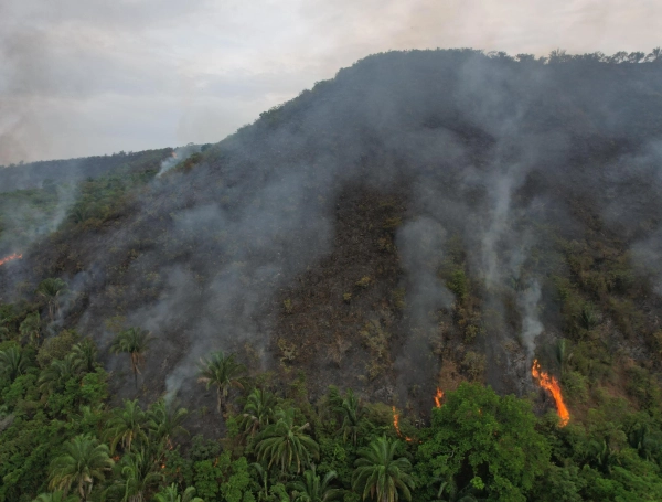 Colombia enfrenta 24 incendios forestales activos: Tolima concentra la mayor emergencia