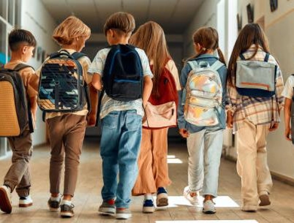 Siete de cada 10 personas en la fuerza laboral de Colombia nunca llegaron a la educación superior: la mayoría apenas cuenta con título de bachiller