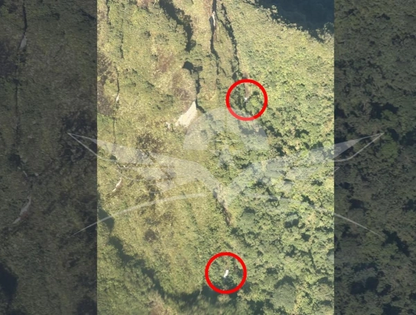 Búsqueda de avioneta accidentada en Chocó