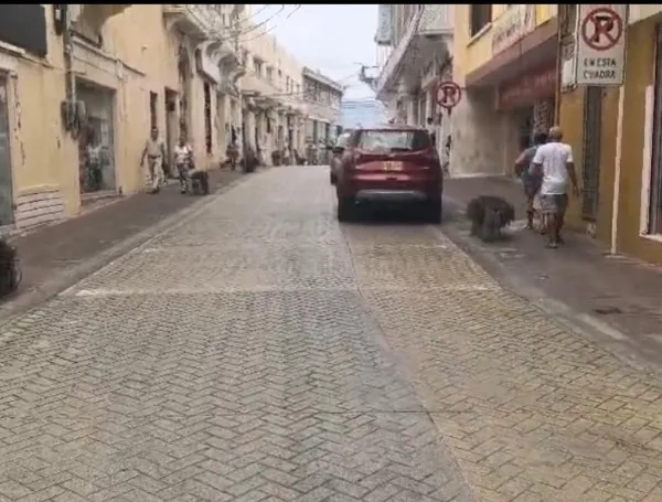 Cortesía